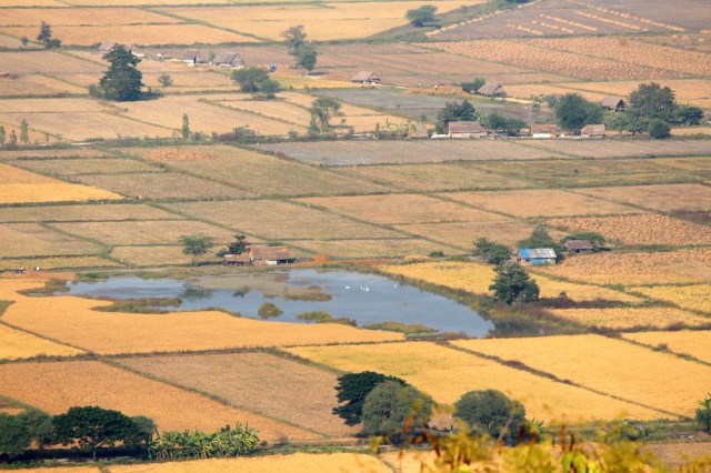 View of farms from Mandalay Hill